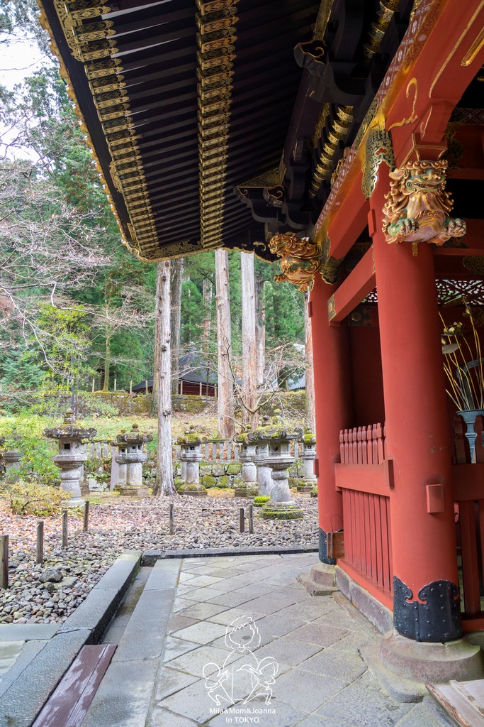 DSC0599 陳米拉愛旅遊、愛拍照也愛碎碎唸 2026-04-12