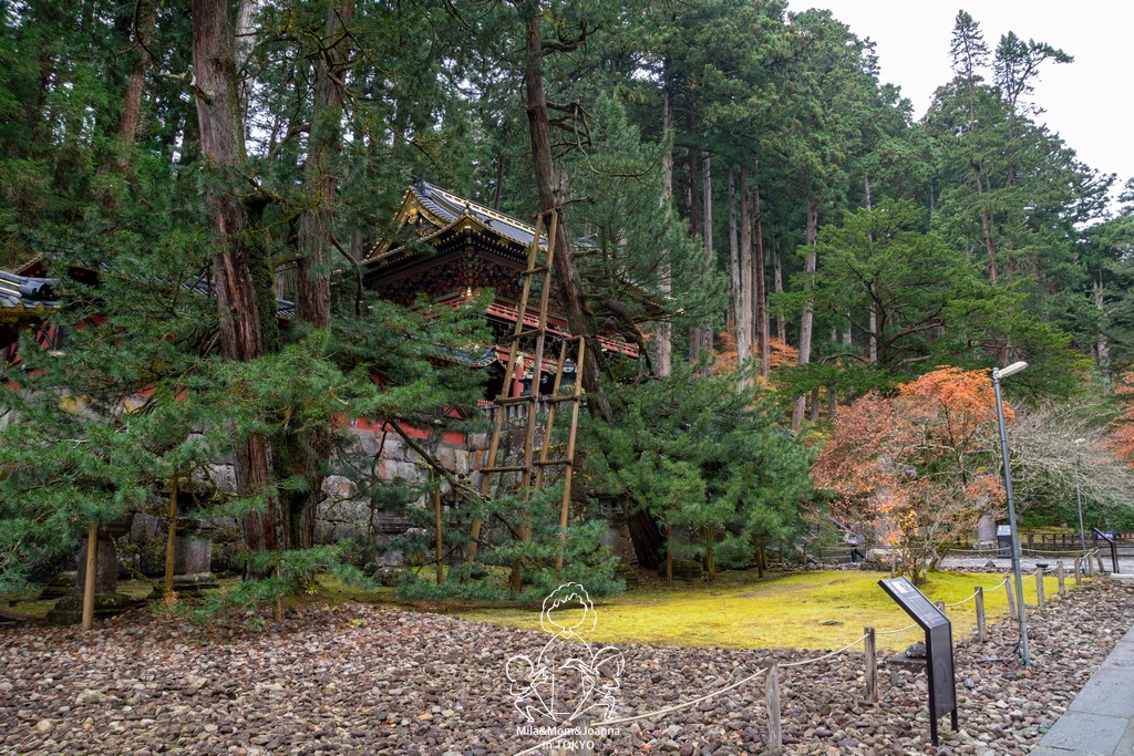 DSC0600 陳米拉愛旅遊、愛拍照也愛碎碎唸 2026-04-12