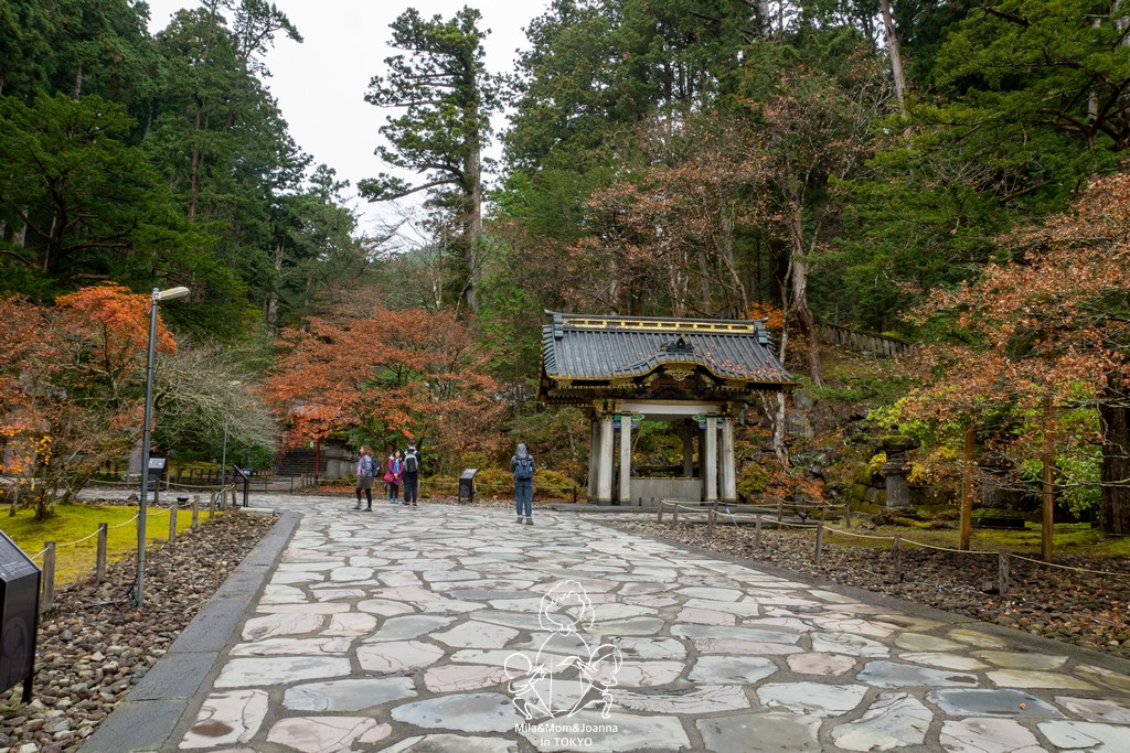 DSC0601 陳米拉愛旅遊、愛拍照也愛碎碎唸 2026-04-12