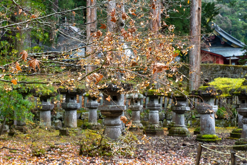 DSC0603 陳米拉愛旅遊、愛拍照也愛碎碎唸 2026-04-12