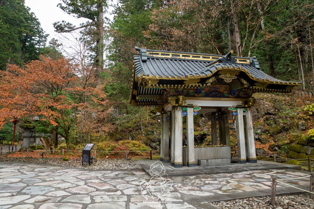 DSC0604 陳米拉愛旅遊、愛拍照也愛碎碎唸 2026-04-12