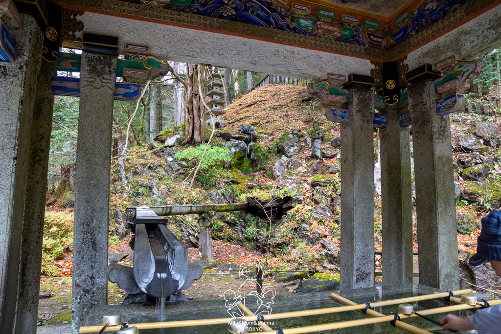 DSC0614 陳米拉愛旅遊、愛拍照也愛碎碎唸 2026-04-12