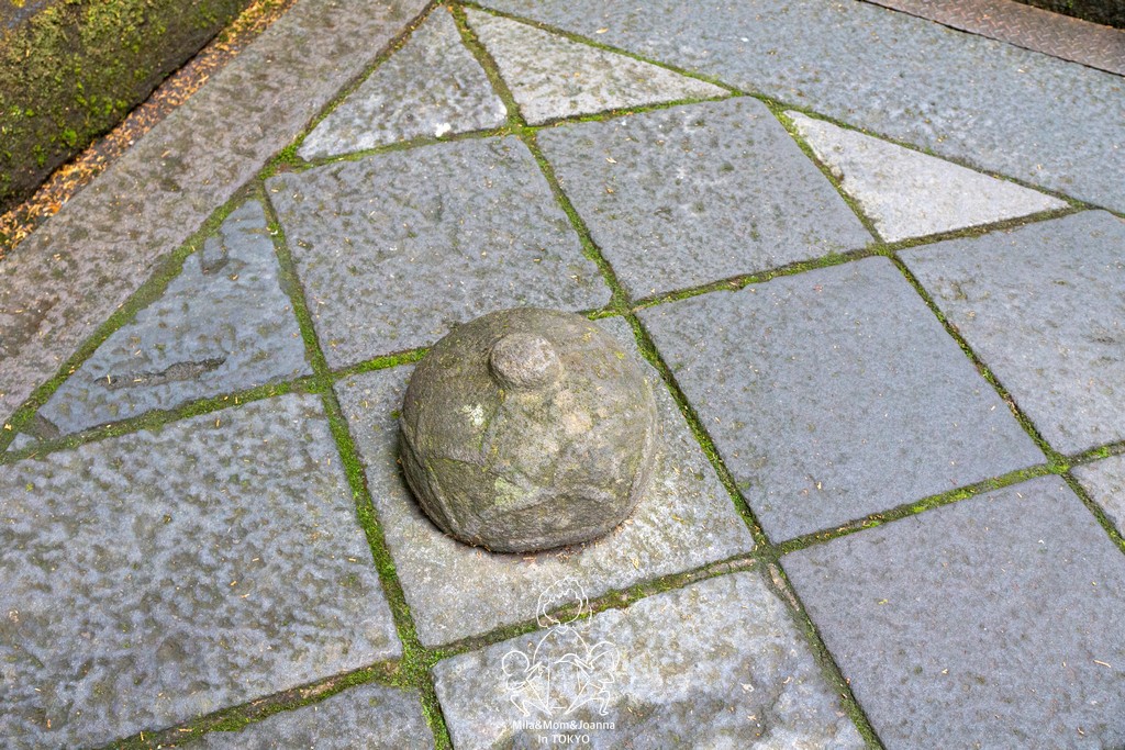 DSC0626 陳米拉愛旅遊、愛拍照也愛碎碎唸 2026-04-12