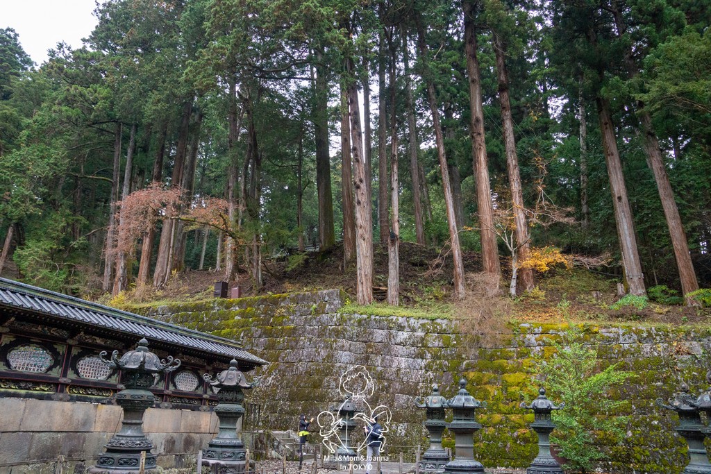 DSC0660 陳米拉愛旅遊、愛拍照也愛碎碎唸 2026-04-12