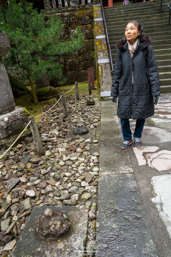 DSC0678 陳米拉愛旅遊、愛拍照也愛碎碎唸 2026-04-12