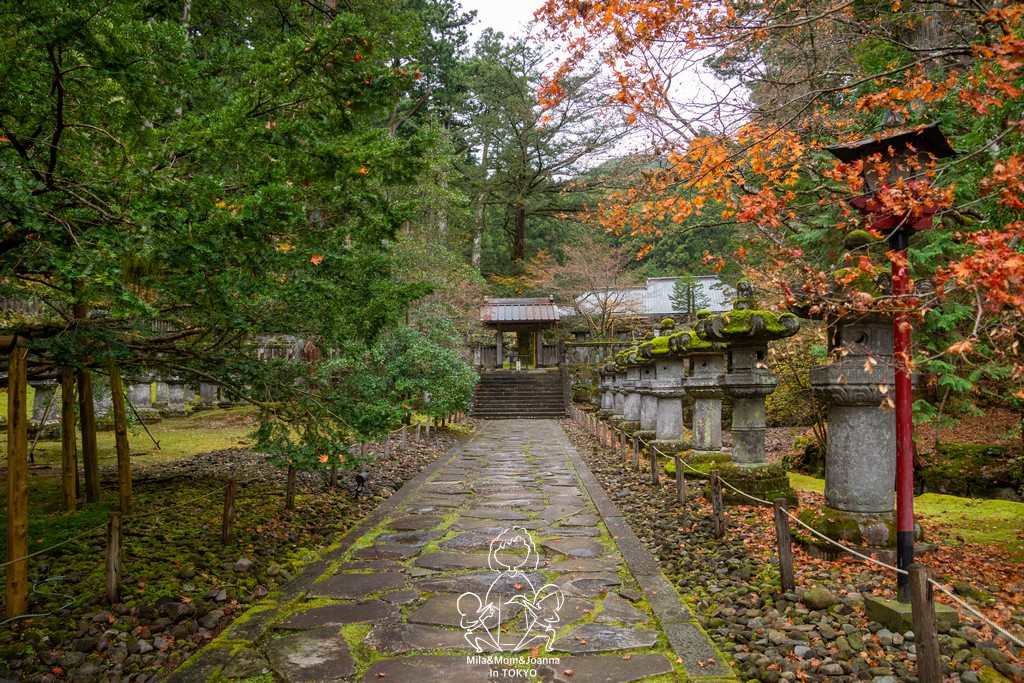 DSC0679 陳米拉愛旅遊、愛拍照也愛碎碎唸 2026-04-12