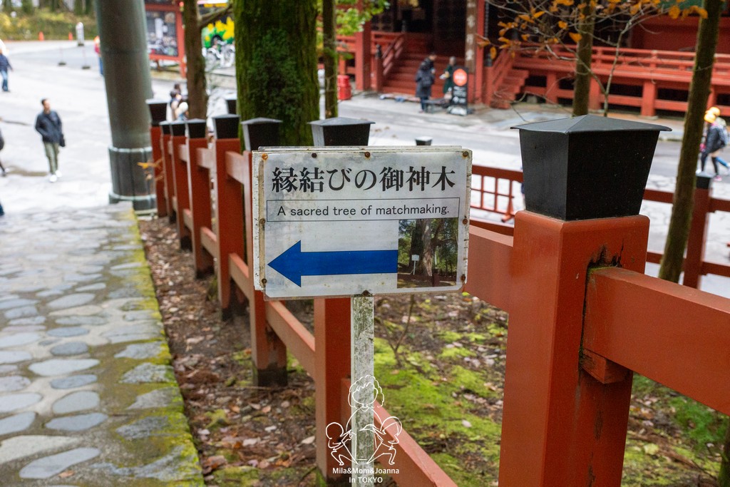 DSC0682 陳米拉愛旅遊、愛拍照也愛碎碎唸 2026-04-12