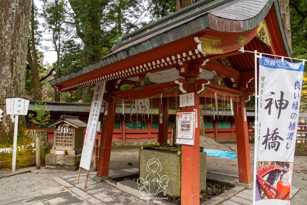 DSC0685 陳米拉愛旅遊、愛拍照也愛碎碎唸 2026-04-12