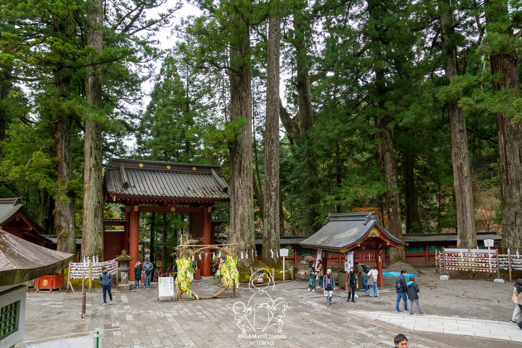 DSC0689 陳米拉愛旅遊、愛拍照也愛碎碎唸 2026-04-12