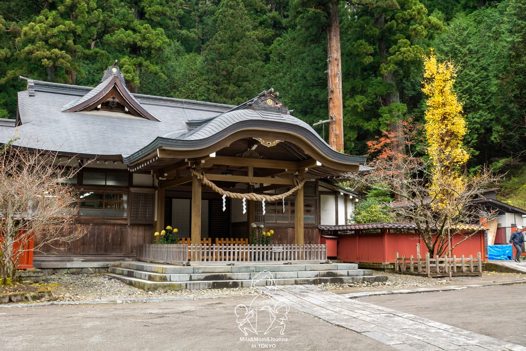 DSC0693 陳米拉愛旅遊、愛拍照也愛碎碎唸 2026-04-12