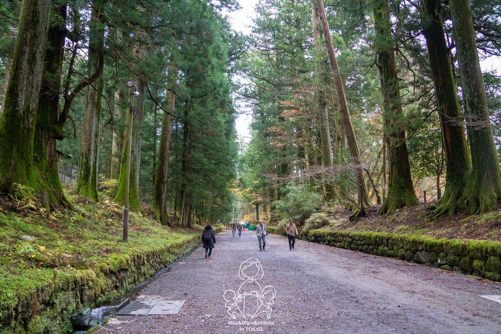 DSC0698 陳米拉愛旅遊、愛拍照也愛碎碎唸 2026-04-12