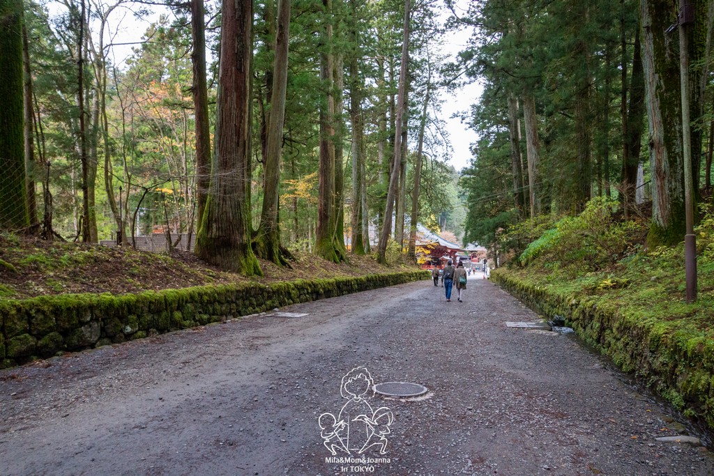 DSC0699 陳米拉愛旅遊、愛拍照也愛碎碎唸 2026-04-12