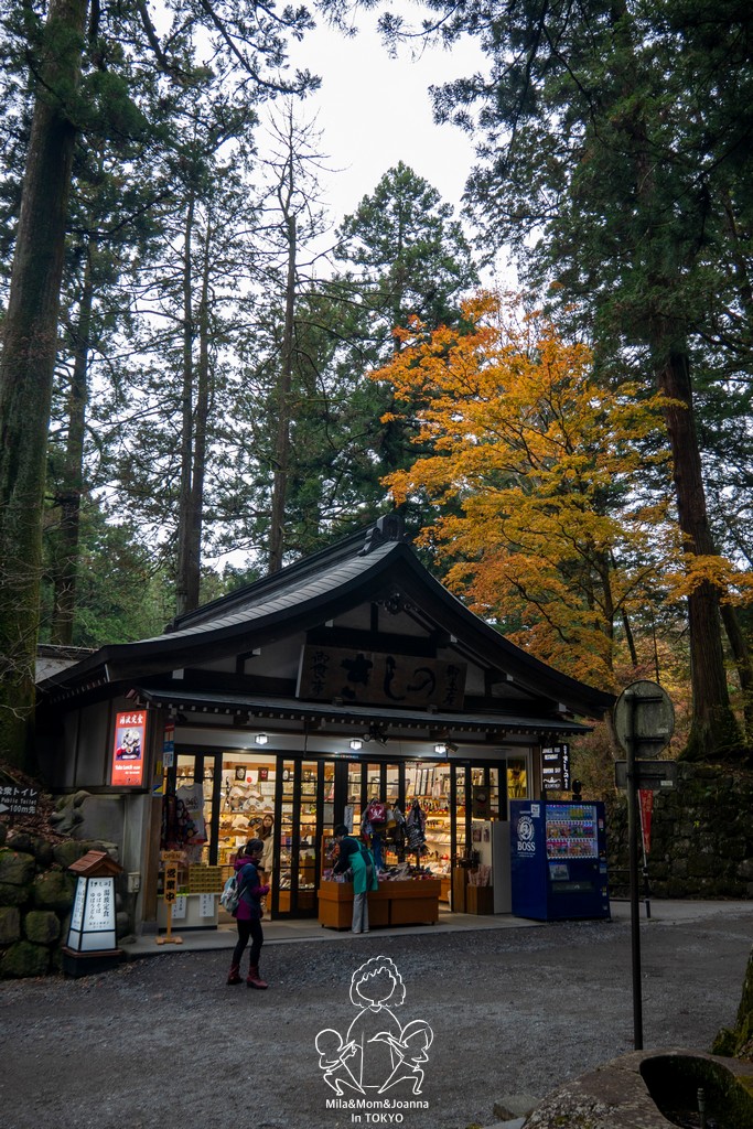 1720948 陳米拉愛旅遊、愛拍照也愛碎碎唸 2026-04-09