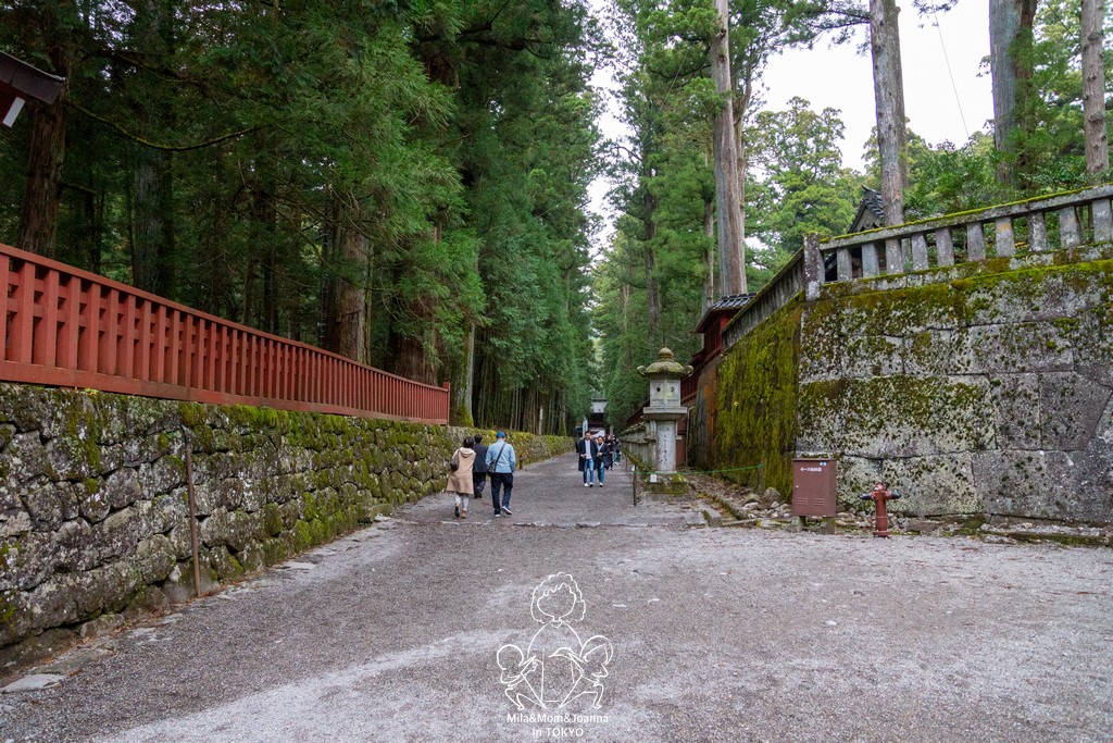 DSC0717 陳米拉愛旅遊、愛拍照也愛碎碎唸 2026-04-09