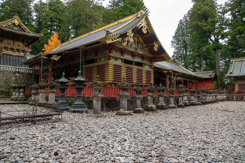 DSC0724 陳米拉愛旅遊、愛拍照也愛碎碎唸 2026-04-09