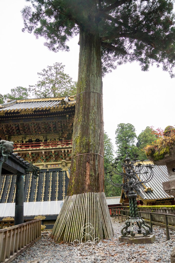 DSC0743 陳米拉愛旅遊、愛拍照也愛碎碎唸 2026-04-09