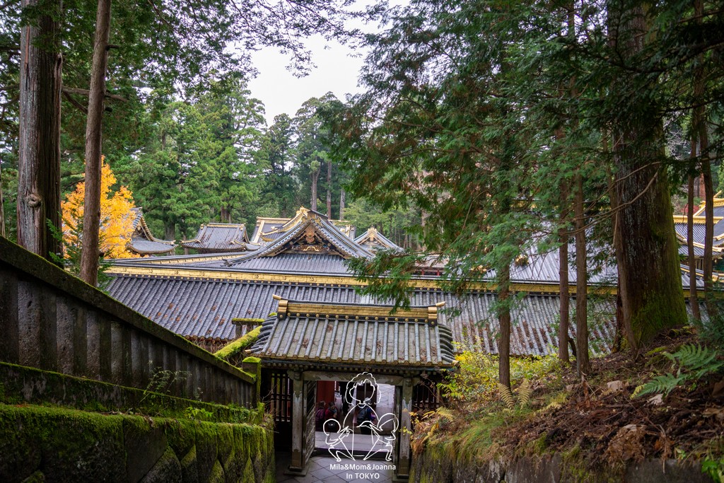 DSC0780 陳米拉愛旅遊、愛拍照也愛碎碎唸 2026-04-09