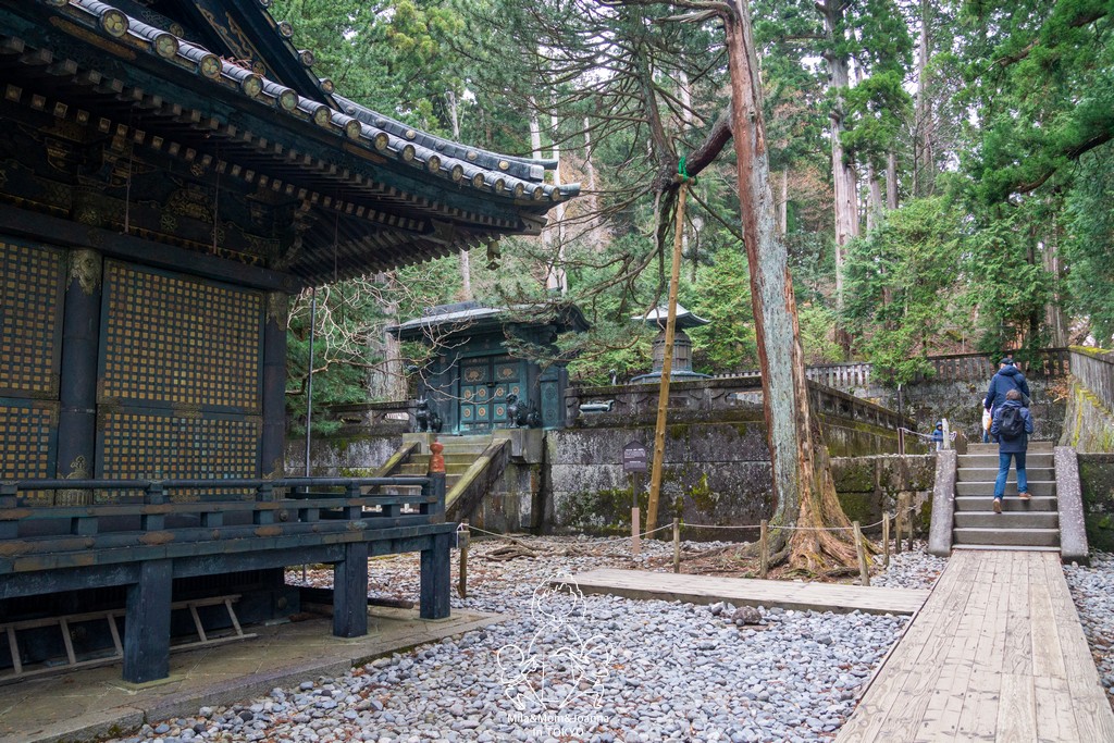 DSC0794 陳米拉愛旅遊、愛拍照也愛碎碎唸 2026-04-09