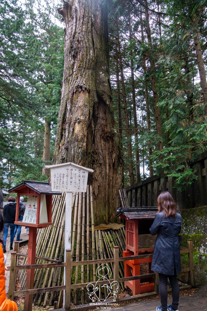 DSC0800 陳米拉愛旅遊、愛拍照也愛碎碎唸 2026-04-09