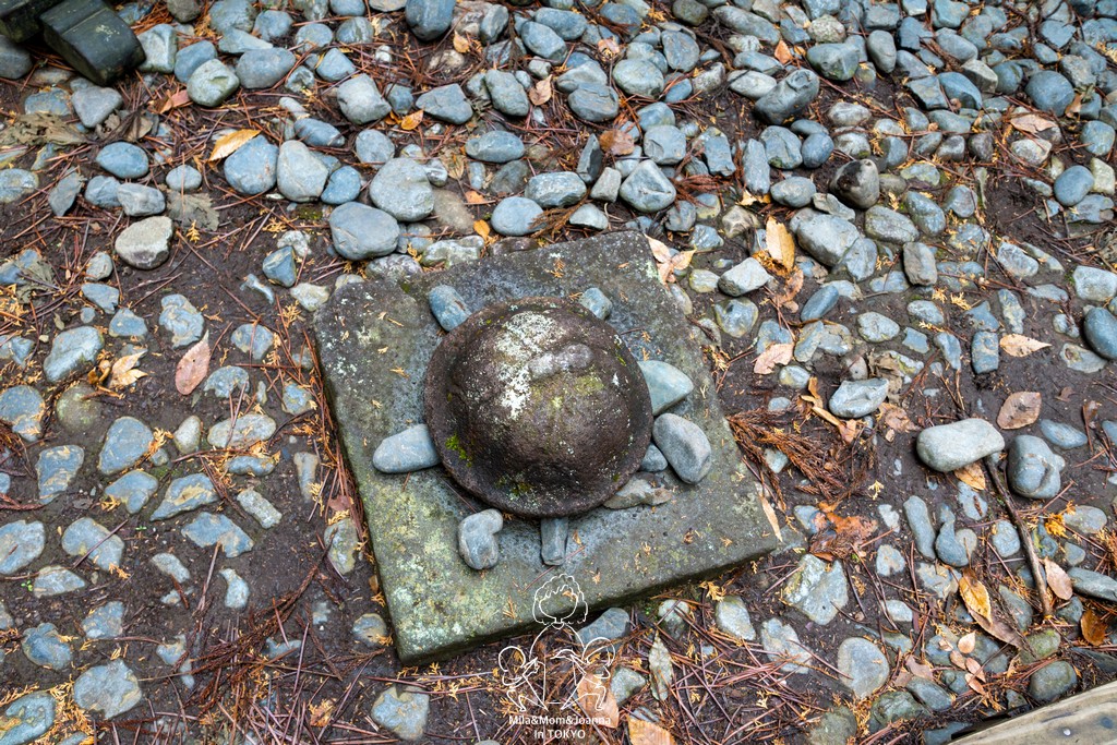 DSC0804 陳米拉愛旅遊、愛拍照也愛碎碎唸 2026-04-09