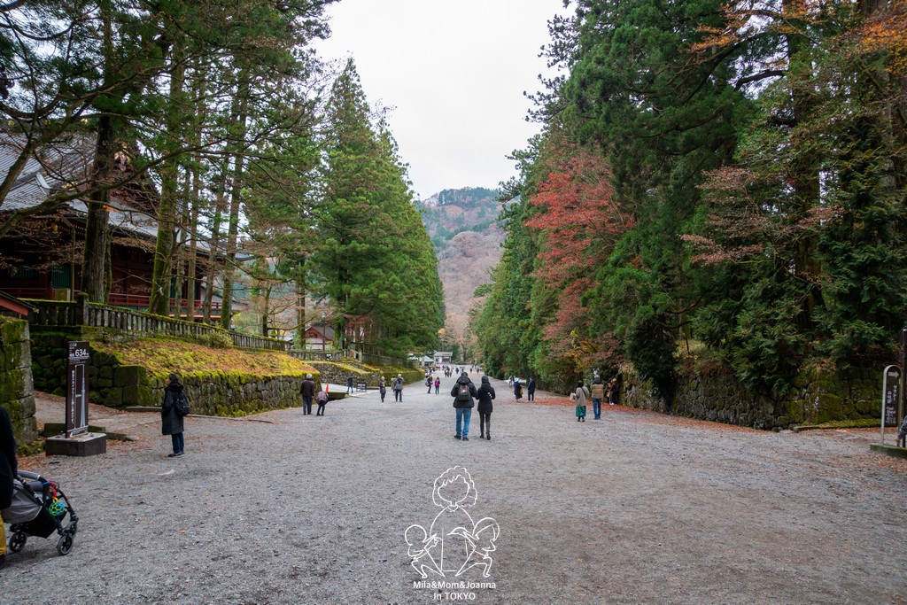 DSC0821 陳米拉愛旅遊、愛拍照也愛碎碎唸 2026-04-09