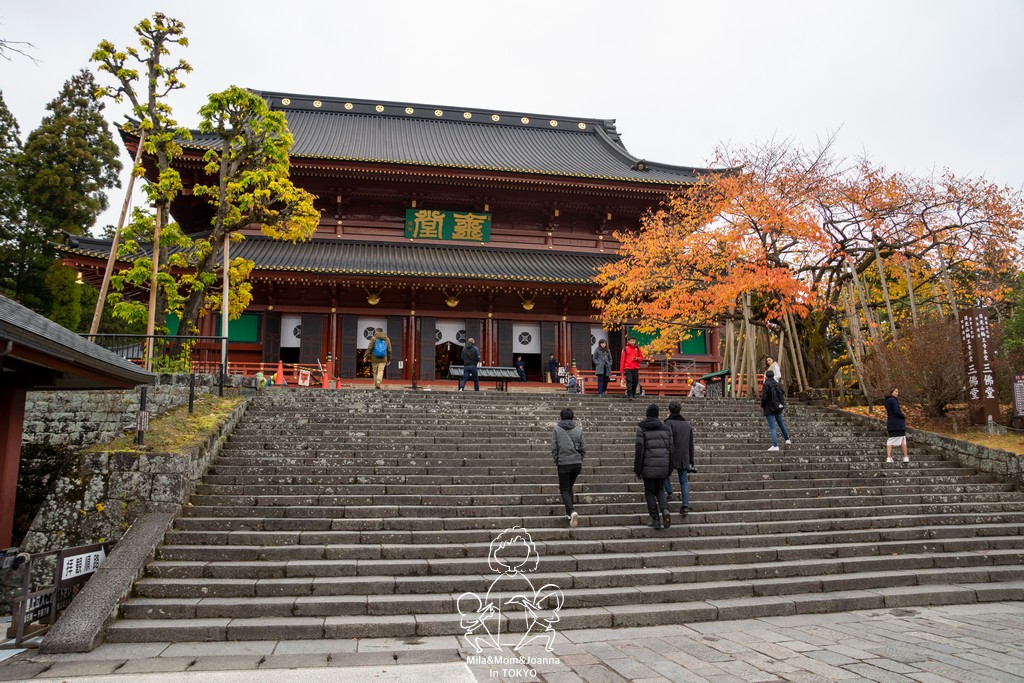 DSC0831 陳米拉愛旅遊、愛拍照也愛碎碎唸 2025-10-29