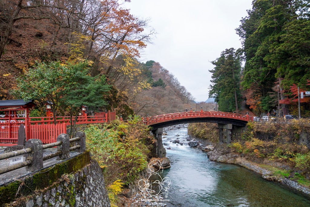 DSC0853 陳米拉愛旅遊、愛拍照也愛碎碎唸 2025-10-29