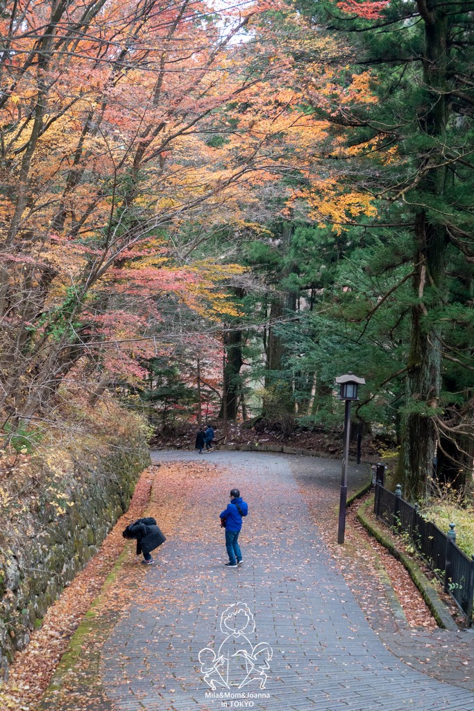 1720975 陳米拉愛旅遊、愛拍照也愛碎碎唸 2025-10-29