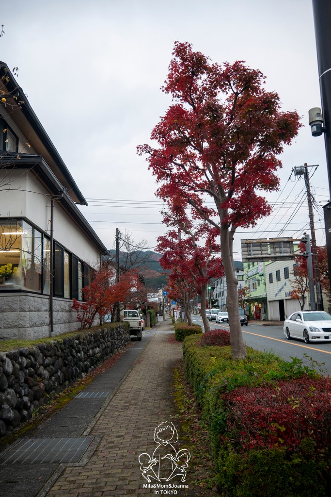 1720983 陳米拉愛旅遊、愛拍照也愛碎碎唸 2025-10-29