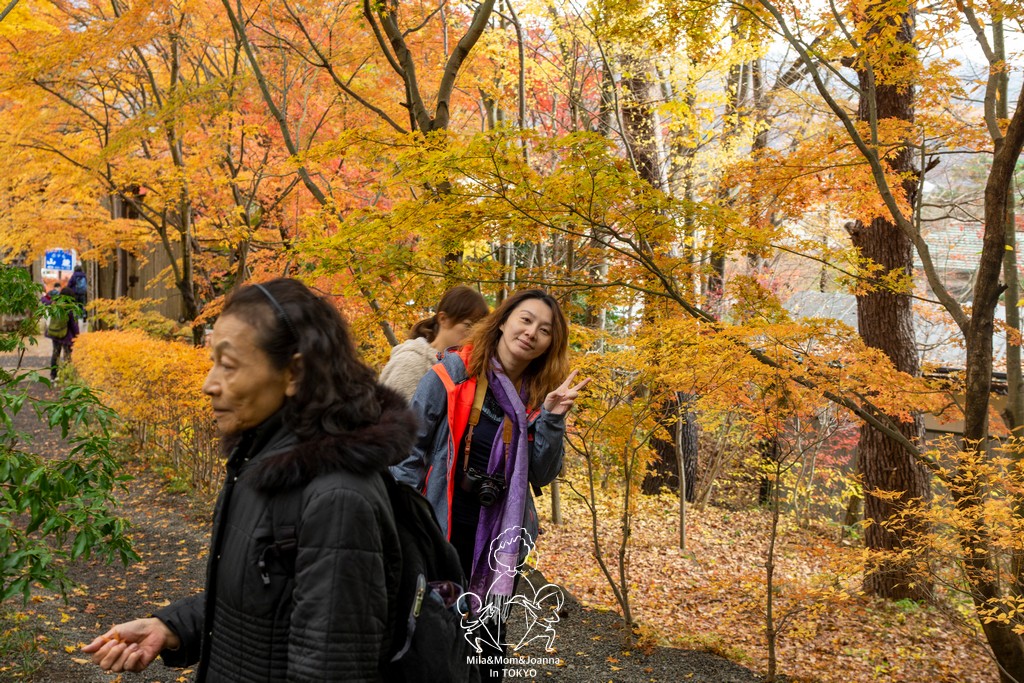 DSC0954 陳米拉愛旅遊、愛拍照也愛碎碎唸 2025-10-28