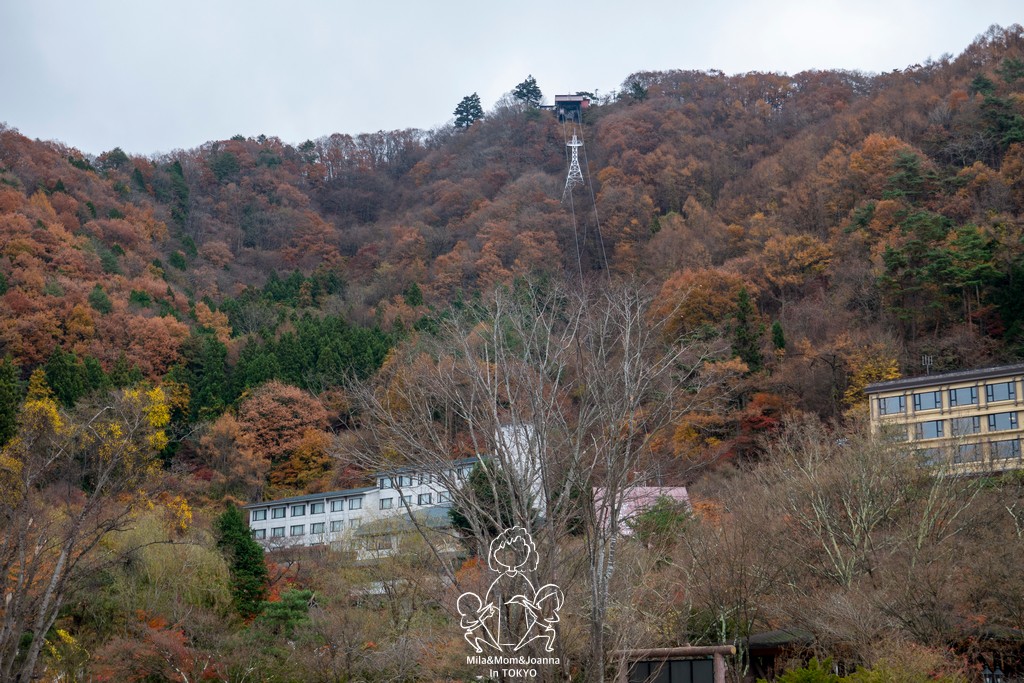 1730040 1 陳米拉愛旅遊、愛拍照也愛碎碎唸 2025-10-28