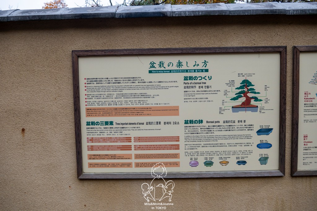 1730233 陳米拉愛旅遊、愛拍照也愛碎碎唸 2025-10-28