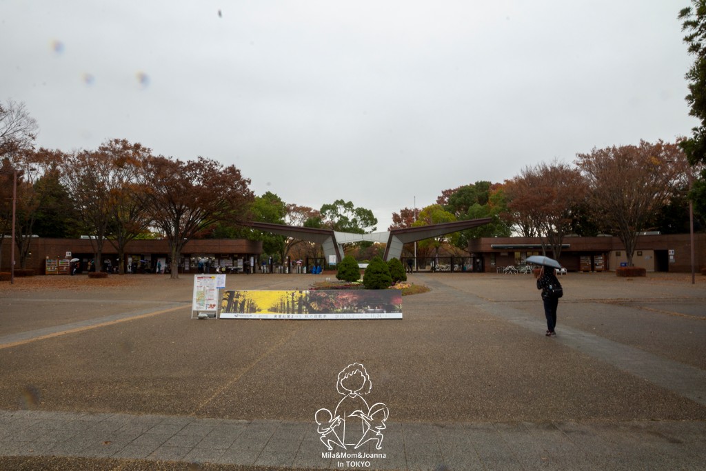 DSC1057 陳米拉愛旅遊、愛拍照也愛碎碎唸 2025-10-28