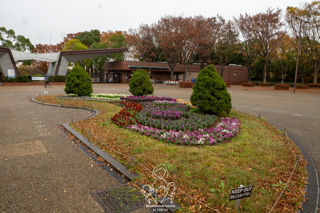 DSC1059 陳米拉愛旅遊、愛拍照也愛碎碎唸 2025-10-28