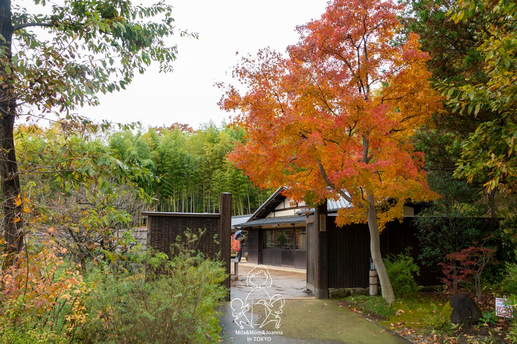 DSC1129 陳米拉愛旅遊、愛拍照也愛碎碎唸 2025-10-28
