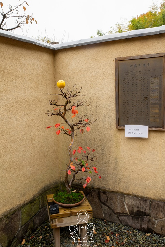 DSC1132 陳米拉愛旅遊、愛拍照也愛碎碎唸 2025-10-28