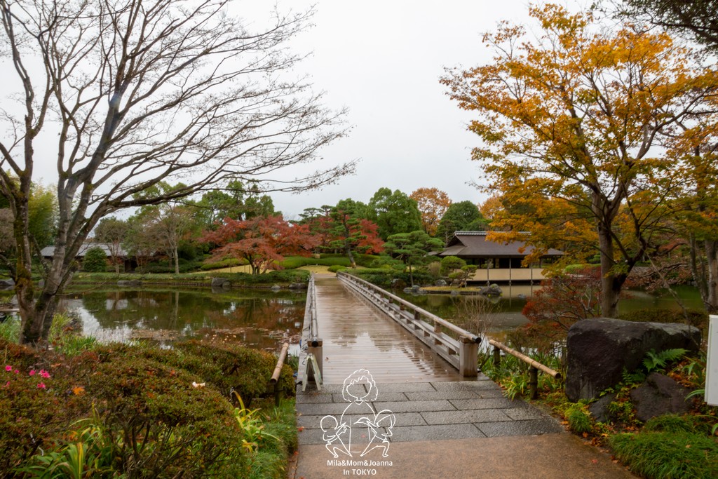 DSC1162 1 陳米拉愛旅遊、愛拍照也愛碎碎唸 2025-10-28