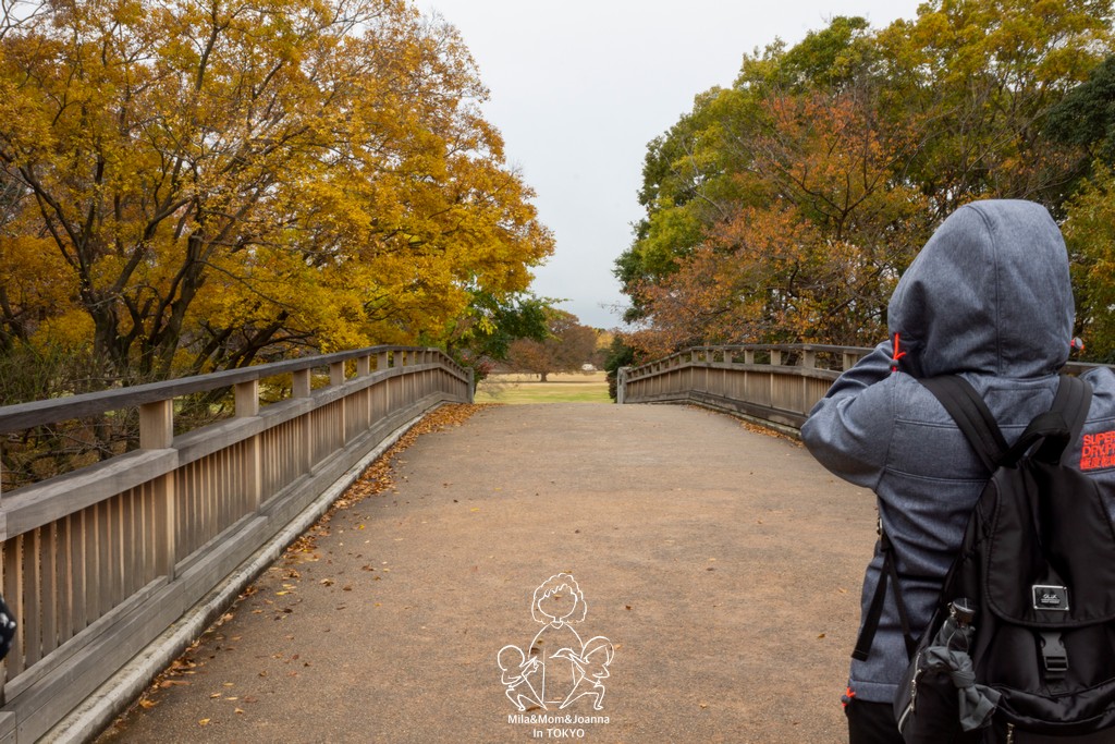 DSC1167 1 陳米拉愛旅遊、愛拍照也愛碎碎唸 2025-10-28