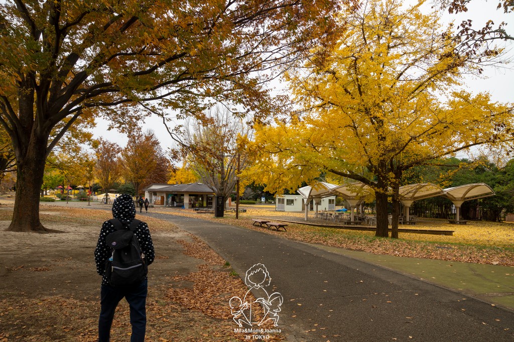 DSC1181 陳米拉愛旅遊、愛拍照也愛碎碎唸 2025-10-28