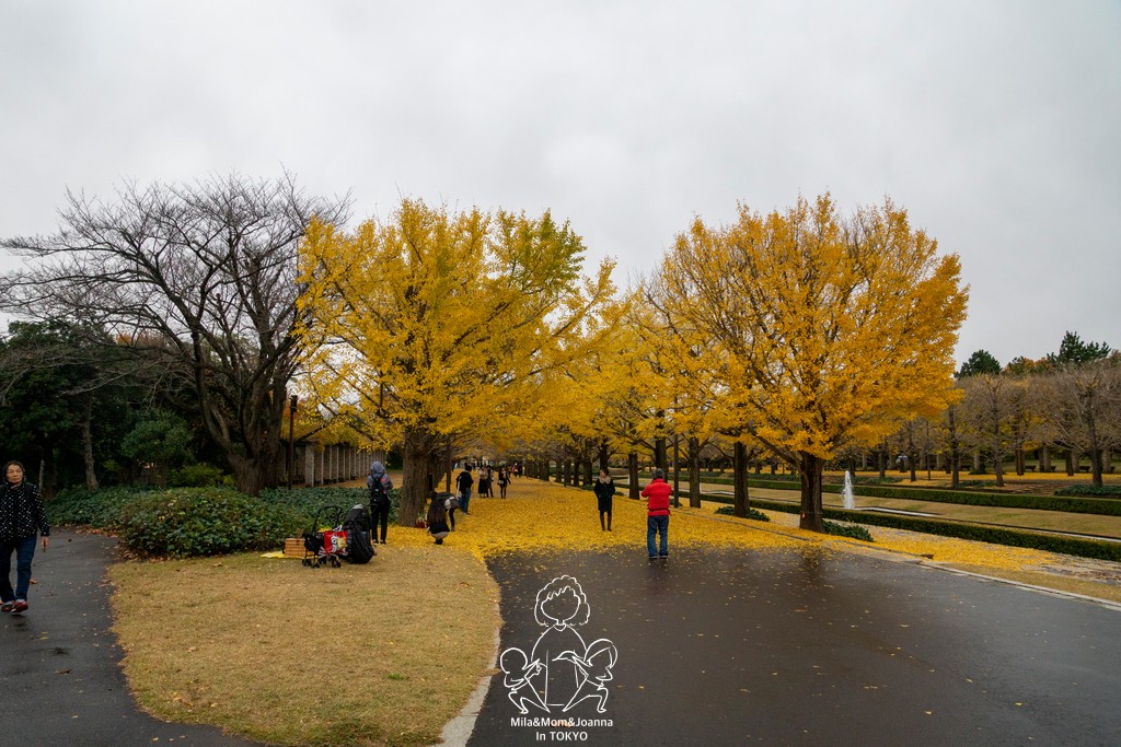 DSC1182 陳米拉愛旅遊、愛拍照也愛碎碎唸 2025-10-28