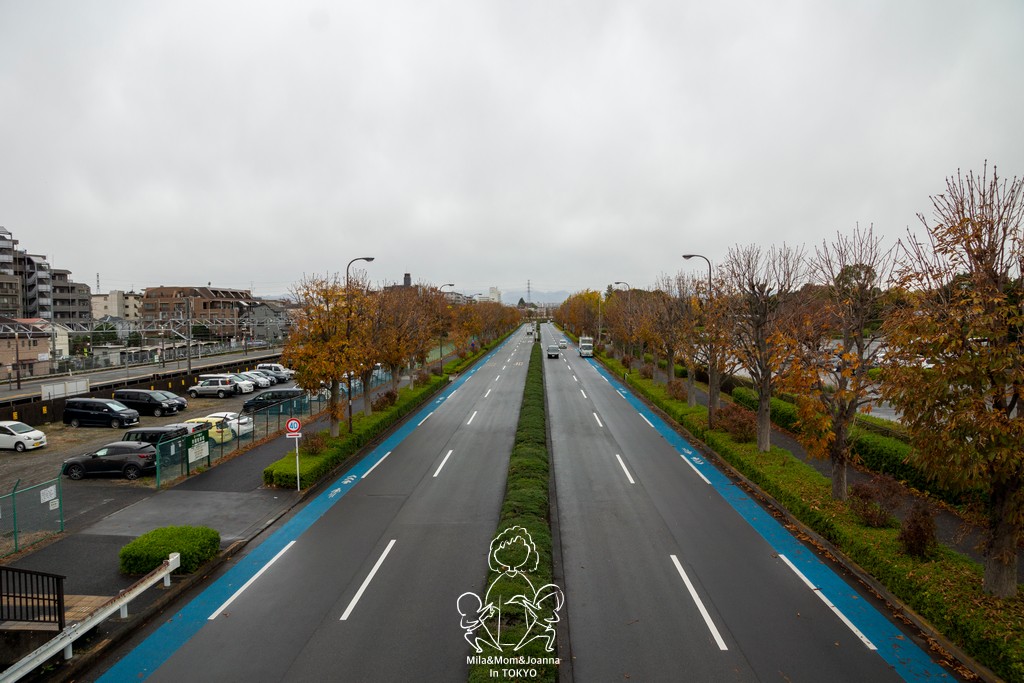 DSC1219 陳米拉愛旅遊、愛拍照也愛碎碎唸 2025-10-28