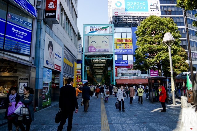tokyo162 陳米拉愛旅遊、愛拍照也愛碎碎唸 2026-04-03