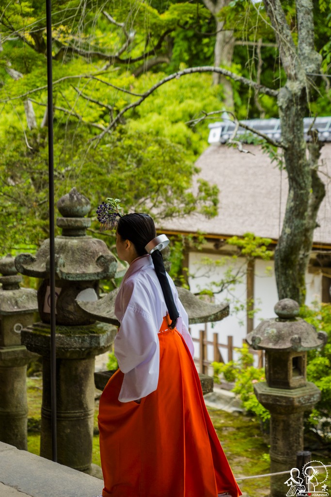 kyoto mila 229 1 陳米拉愛旅遊、愛拍照也愛碎碎唸 2026-04-03