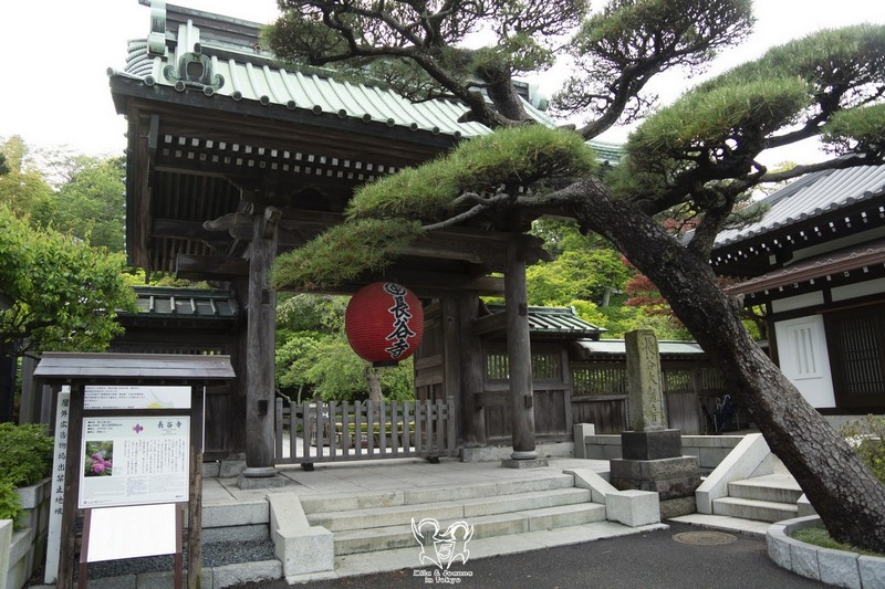 dsc7238 1 陳米拉愛旅遊、愛拍照也愛碎碎唸 2025-10-28