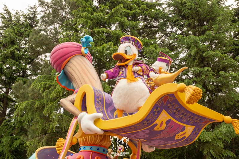 dsc7786 陳米拉愛旅遊、愛拍照也愛碎碎唸 2025-10-28
