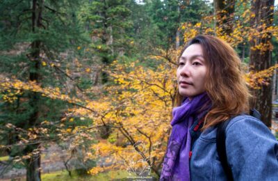 東京自由行 – Day 4 – 日光山輪王寺大猷院