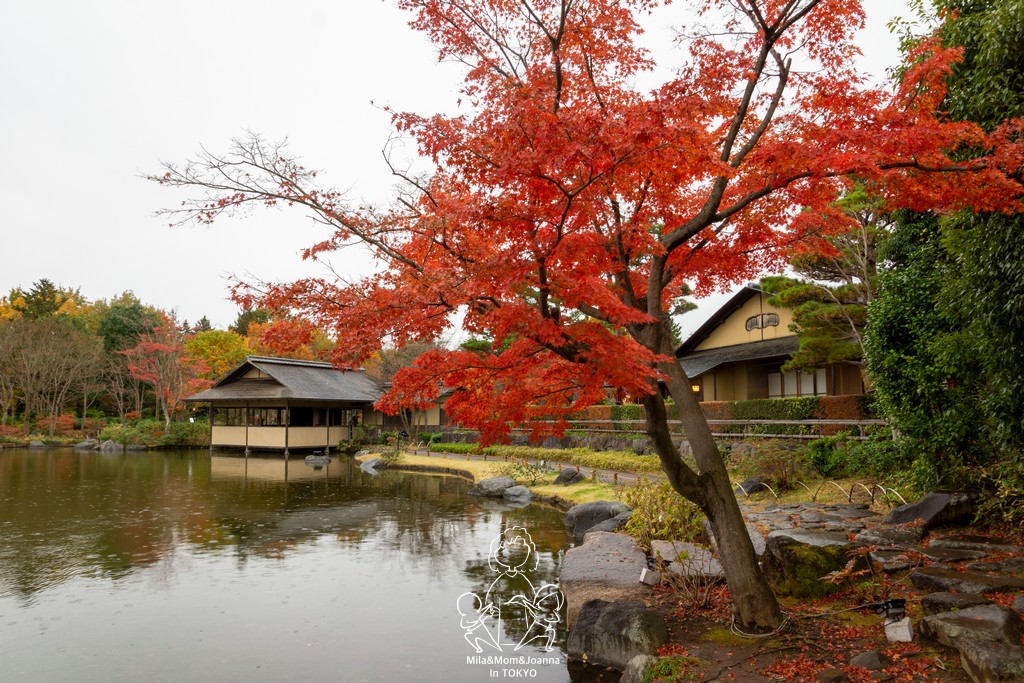 DSC1126 1 陳米拉愛旅遊、愛拍照也愛碎碎唸 2025-10-28