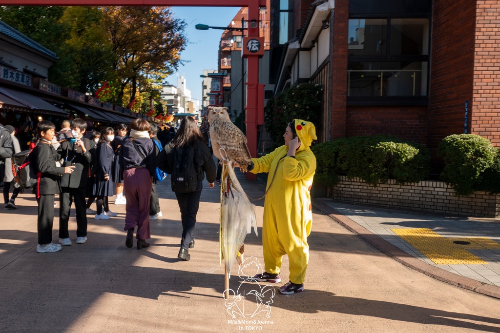1730283 陳米拉愛旅遊、愛拍照也愛碎碎唸 2025-10-29